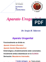 Aparato Urogenital 2015 (Embriología y Genética)