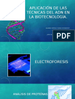 Aplicación de Las Técnicas Del ADN en La