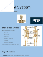 Skeletal System