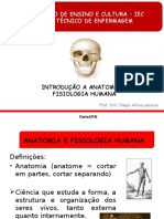 Anatomia e Fisiologia Humana