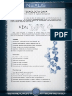 Tecnología GAVA PDF