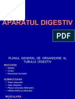 Aparatul Digestiv 1 MD