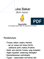 Luka Bakar