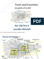 BIO130 Sec2 - Lec1and2 - 1ppt