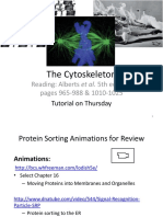 The Cytoskeleton: Reading: Alberts Et Al. 5th Edition, Pages 965-988 & 1010-1025