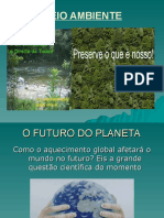 Meio Ambiente