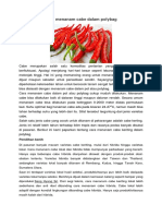 Juknis cabe rawit.pdf