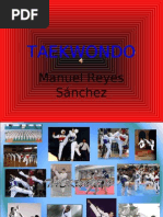 Download TAEKWONDO by manurss1192 SN32198461 doc pdf