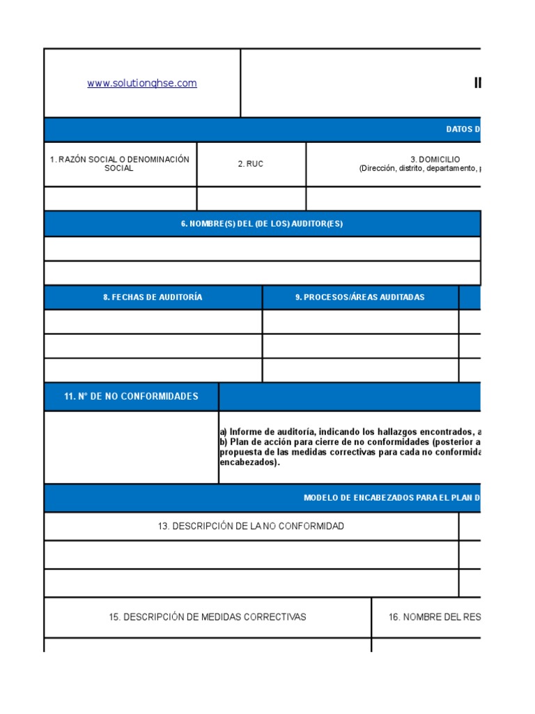 Informe De AuditorÍa Interna Xlsx