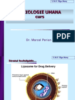 Curs2 PDF