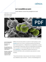 O ‘Superantibiótico’ Escondido No Nariz _ Ciência _ EL PAÍS Brasil