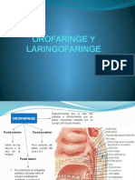 Orofaringe y Laringofaringe