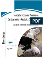Informe Nacional - Honduras