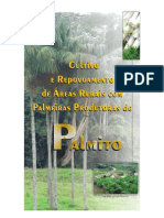 Palmeiras Produtoras Palmito