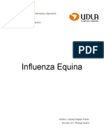 Influenza Equina