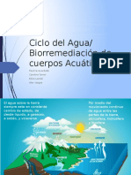 Ciclo Del Agua 