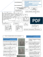 Mapa Conceptual 2