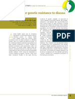 pl13.pdf