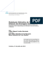 Modelação Hidráulica de Sistemas Urbanos de Drenagem Sustentável