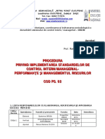 PS 02 Performante Si Managementul Riscului