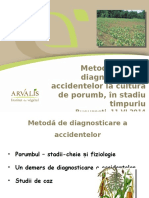 ARVALIS - Presentation - Diagnostic Des Accidents Sur Maïs - Bucarest - Juin 2014