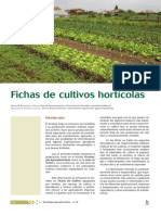 Fichas de Cultivos Hortícolas PDF