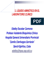 conferencia_liquido_amniotico.pdf