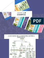Exposicion Shampoo Equipo #4