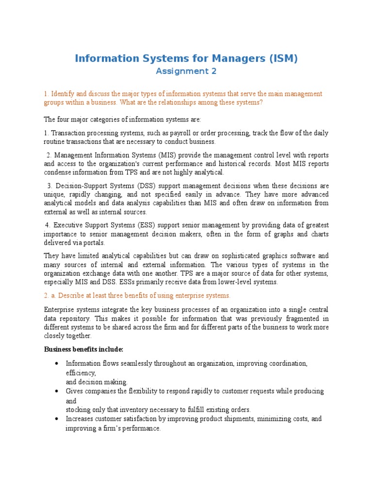 Information Systems for Managers Overview | PDF