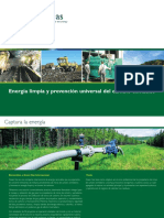 Green Gas Brochure 2010 Esp PDF