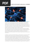 Efectos de La Meditación Mindfulness en El Cerebro