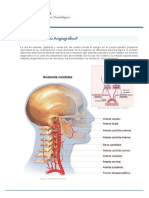 Que Es Angiografia