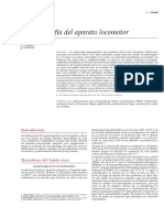 2002 Gammagrafía Del Aparato Locomotor PDF