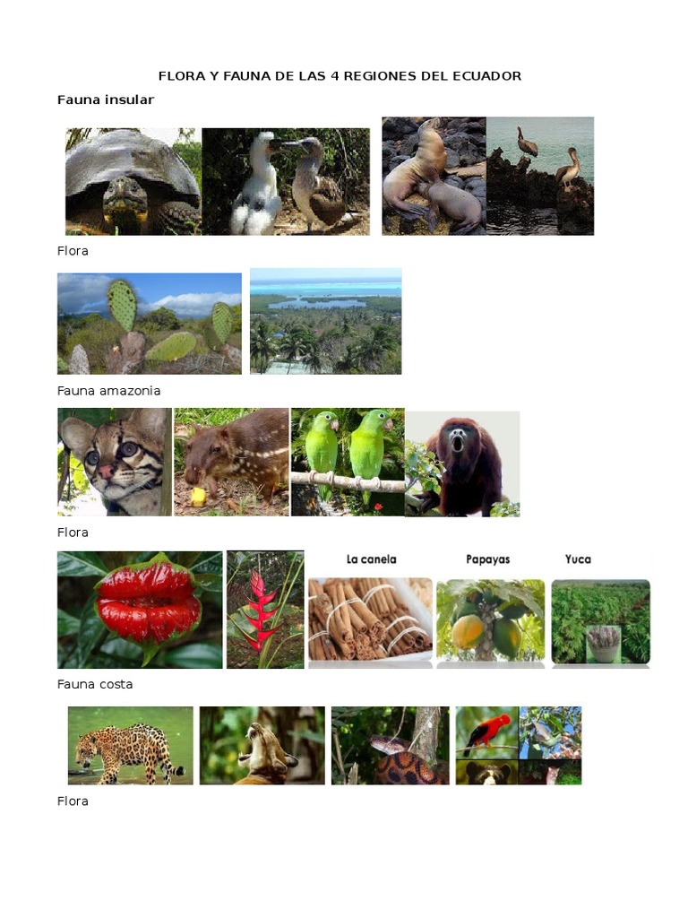 Flora y Fauna de Las 4 Regiones Del Ecuador