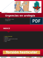 Urgencias-en-urología (2)