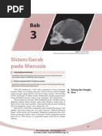 Download Bab 3 Sistem Gerak Pada Manusia by Pradina Tyas SN322109350 doc pdf