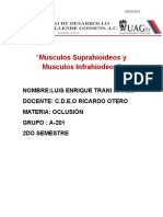 Musculos Suprahioideos y Musculos Infrahiodeos