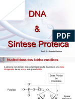 Aula 3 DNA Sintese Proteica