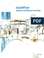 AUDITFLOCS.pdf