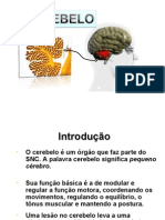 Neuroanatomia-Cerebelo