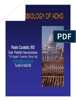 Neurobiology of ADHD Curatolo