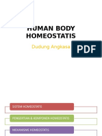 Human Body Homeostatis