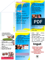Leaflet Gonore