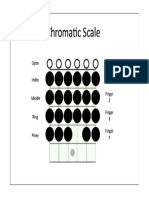 Class6 Chromatic