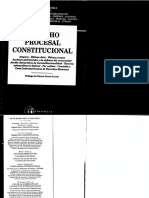  Derecho Procesal Constitucional Pablo Luis Manili