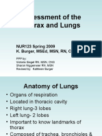 WEB Thorax and Lungs