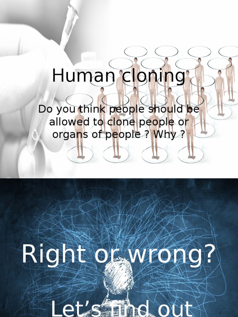 Human Cloning Do You Think People Should Be Allowed To Clone People or