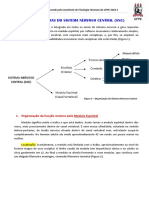 Funções Motoras Do Sistema Nervoso Central