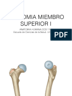 Osteologia y Miología Mb Inferior A