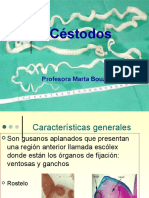 Cestodos